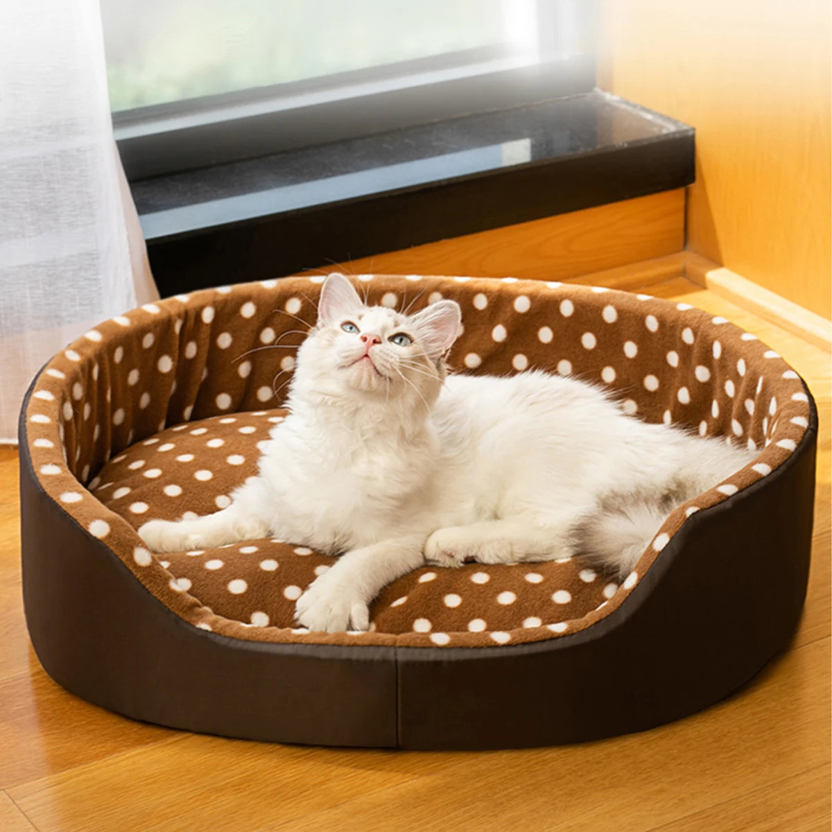 Cat Bed Pet Mat Products for Cats Sofa Comfort Dogs Accessories House Portable Pillow Sleeping Supplies Cushion Kitten Beds Mats